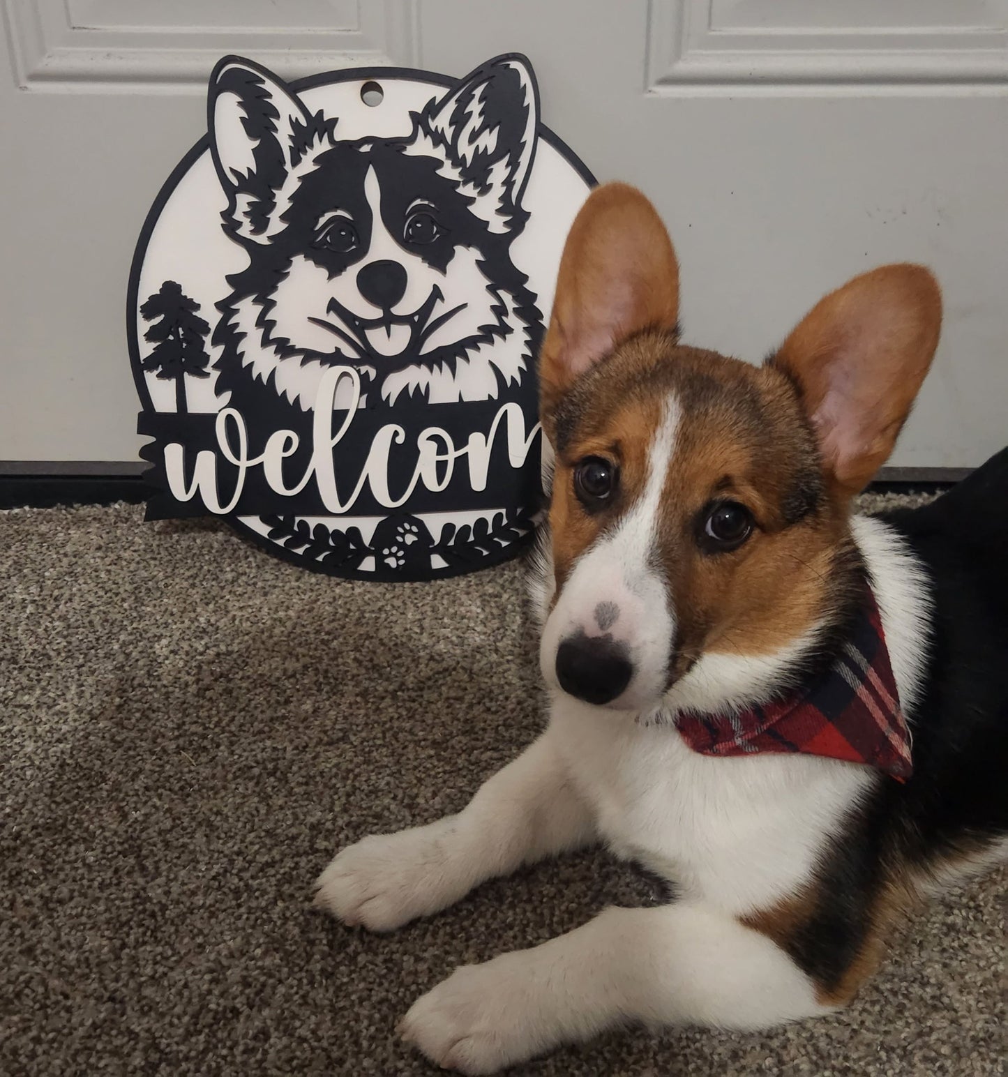 Corgi Sign